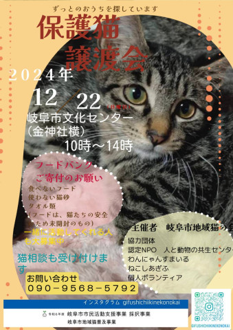 岐阜市地域猫の会  譲渡会