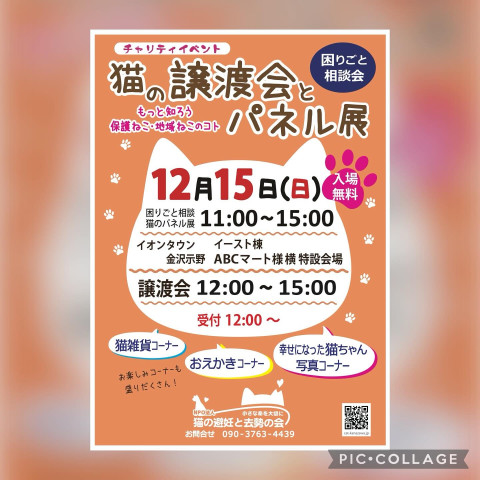 【猫の避妊と去勢の会】猫の譲渡会とパネル展、困りごと相談会