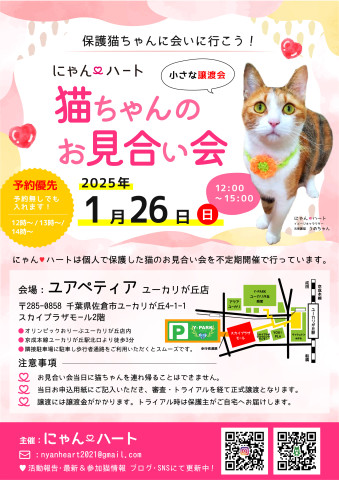 にゃん❤️ハート 猫ちゃんのお見合い会 - 猫の譲渡会掲示板