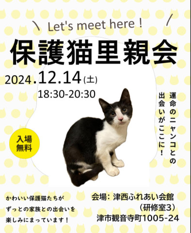 保護猫里親会in津