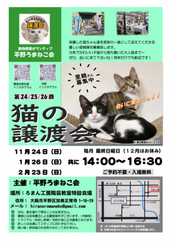 第25回 平野ろまねこ譲渡会