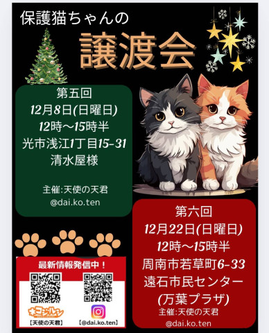 保護猫譲渡会in光市