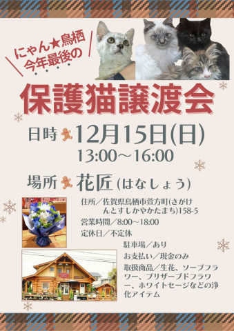 にゃん★鳥栖〜今年最後の譲渡会〜