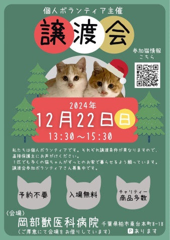 千葉県柏市:保護猫譲渡会😸🎄✨