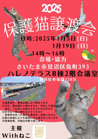 【さいたま市】1/5(日)ハレノテラス保護猫譲渡会