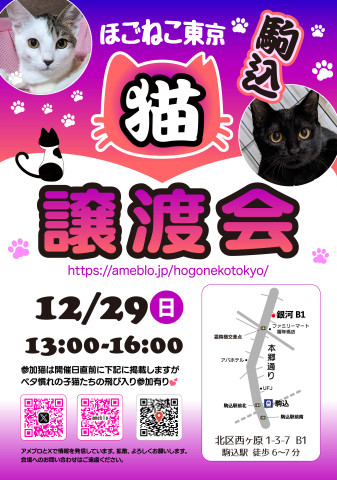 ほごねこ東京譲渡会in駒込