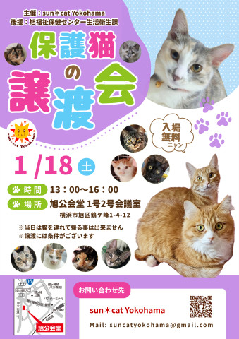 保護猫の譲渡会@sun＊cat Yokohama