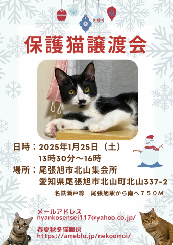 保護猫譲渡会