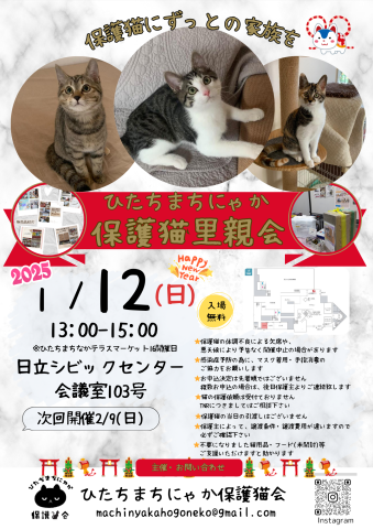 ひたちまちにゃか保護猫里親会