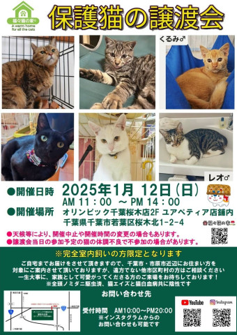 保護猫の譲渡会