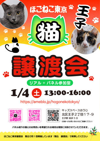 ほごねこ東京譲渡会in王子