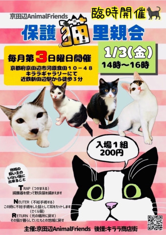 2025年新春！保護猫の里親会♪