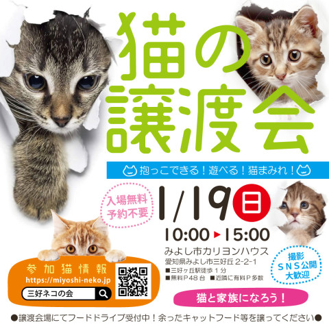 約30匹のねこ・ネコ・猫★みよし市