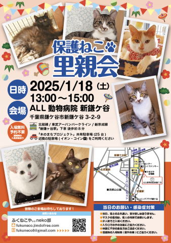 鎌ケ谷開催！保護ねこ里親会