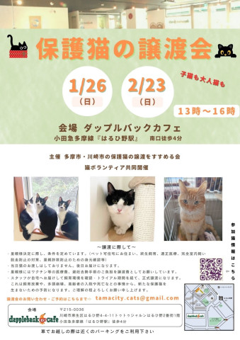 保護猫の譲渡会inはるひ野