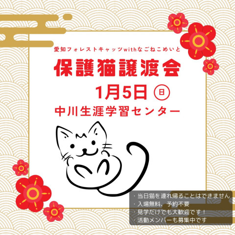 保護猫譲渡会　名古屋市