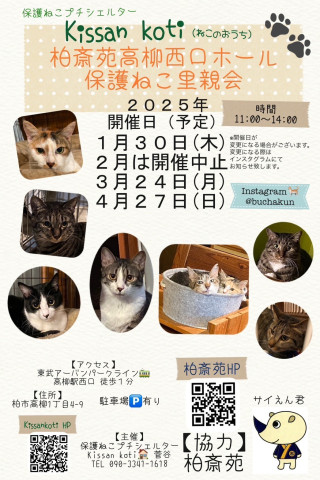 柏斎苑保護ねこ里親会