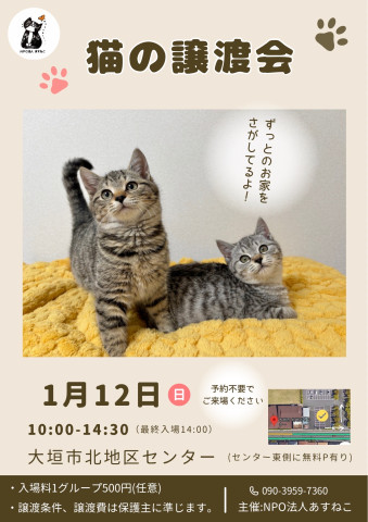 猫の譲渡会～ちびっ子大集合～