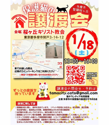 【多摩市聖蹟桜ヶ丘】保護猫譲渡会