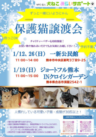 犬ねこみらいサポート保護猫譲渡会