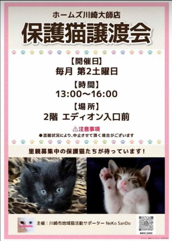 ホームズ川崎大師店　保護猫譲渡会