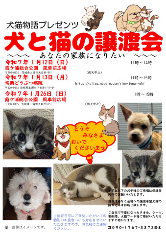 犬と猫の譲渡会～あなたの家族になりたい～　　　　　