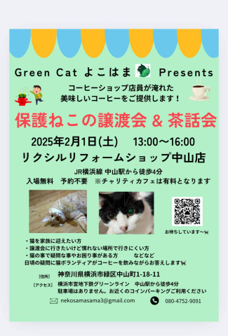 保護ねこの譲渡会＆茶話会＠緑区 Green Cat よこはま