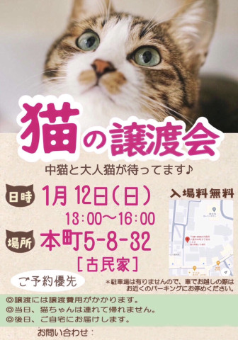 保護猫の譲渡会