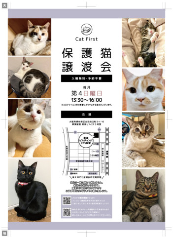 1/26(日)第72回　Cat First 譲渡会開催のお知らせ