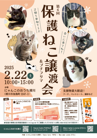 第６回　保護ねこ譲渡会＆プチフリマ