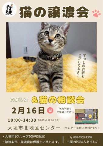 猫の譲渡会＆猫の相談会