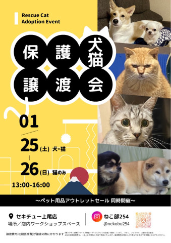 保護猫・保護犬　譲渡会