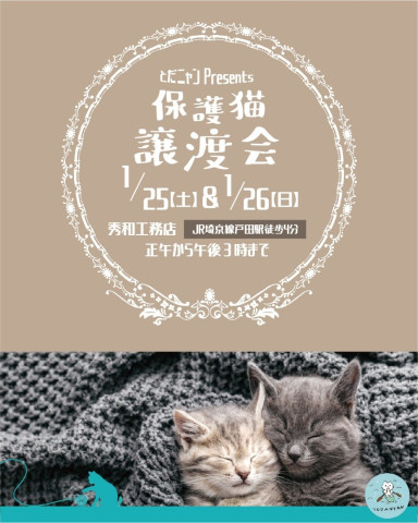 とだニャン保護猫譲渡会