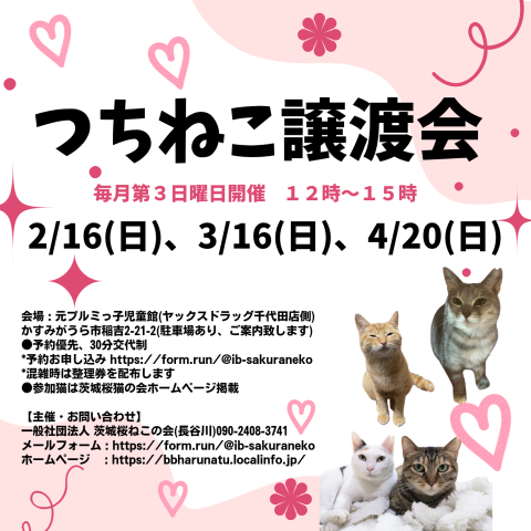 つちねこ譲渡会