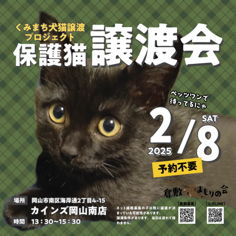 倉敷猫まも保護猫譲渡会（予約不要）