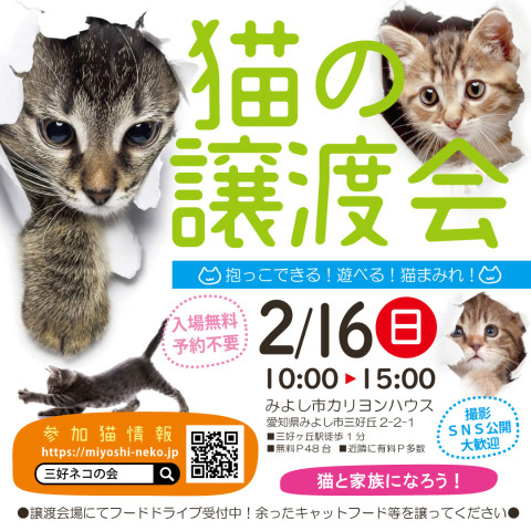 大中小の猫25匹以上★みよし市