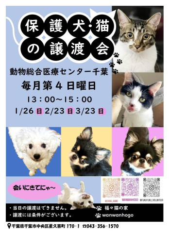 保護犬・猫の譲渡会