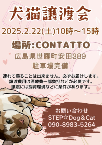 contattoいぬねこ譲渡会