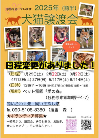 犬猫譲渡会/岐阜県各務原