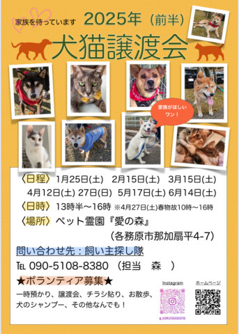 犬猫譲渡会/岐阜県各務原