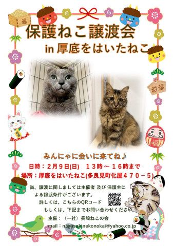 保護ねこ譲渡会 in 厚底をはいたねこ