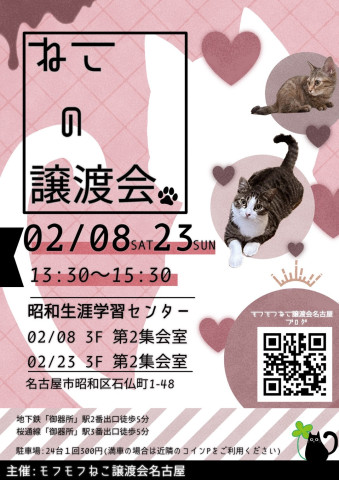 猫の譲渡会　in　名古屋市昭和生涯学習センター