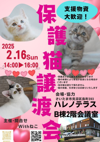 【さいたま市見沼区】2/16(日)ハレノテラス保護猫譲渡会