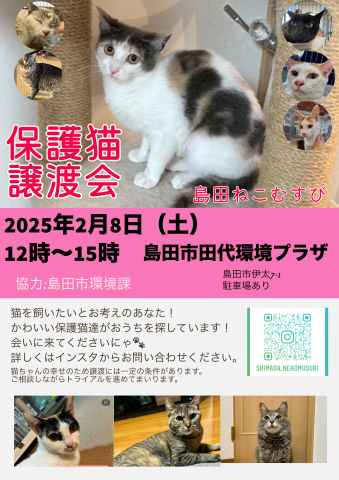 島田ねこむすび譲渡会