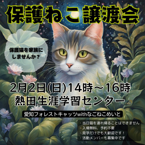 【来場者プレゼントあり】保護猫譲渡会　名古屋市