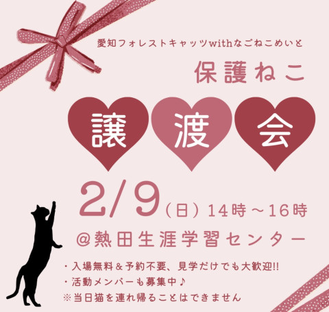 【来場者プレゼントあり】保護猫譲渡会　名古屋市