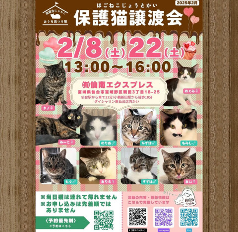 保護猫譲渡会