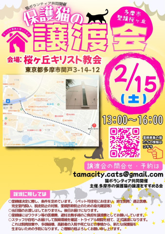 【多摩市聖蹟桜ヶ丘】保護猫譲渡会