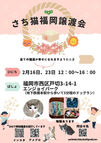 さち猫福岡譲渡会　エンジョイパーク