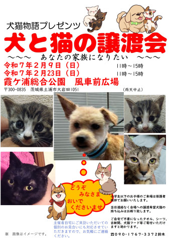 犬と猫の譲渡会～あなたの家族になりたい～　　　　　